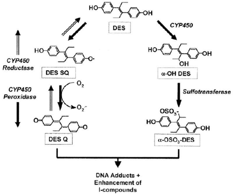 Figure 4: