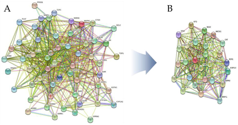 Figure 11