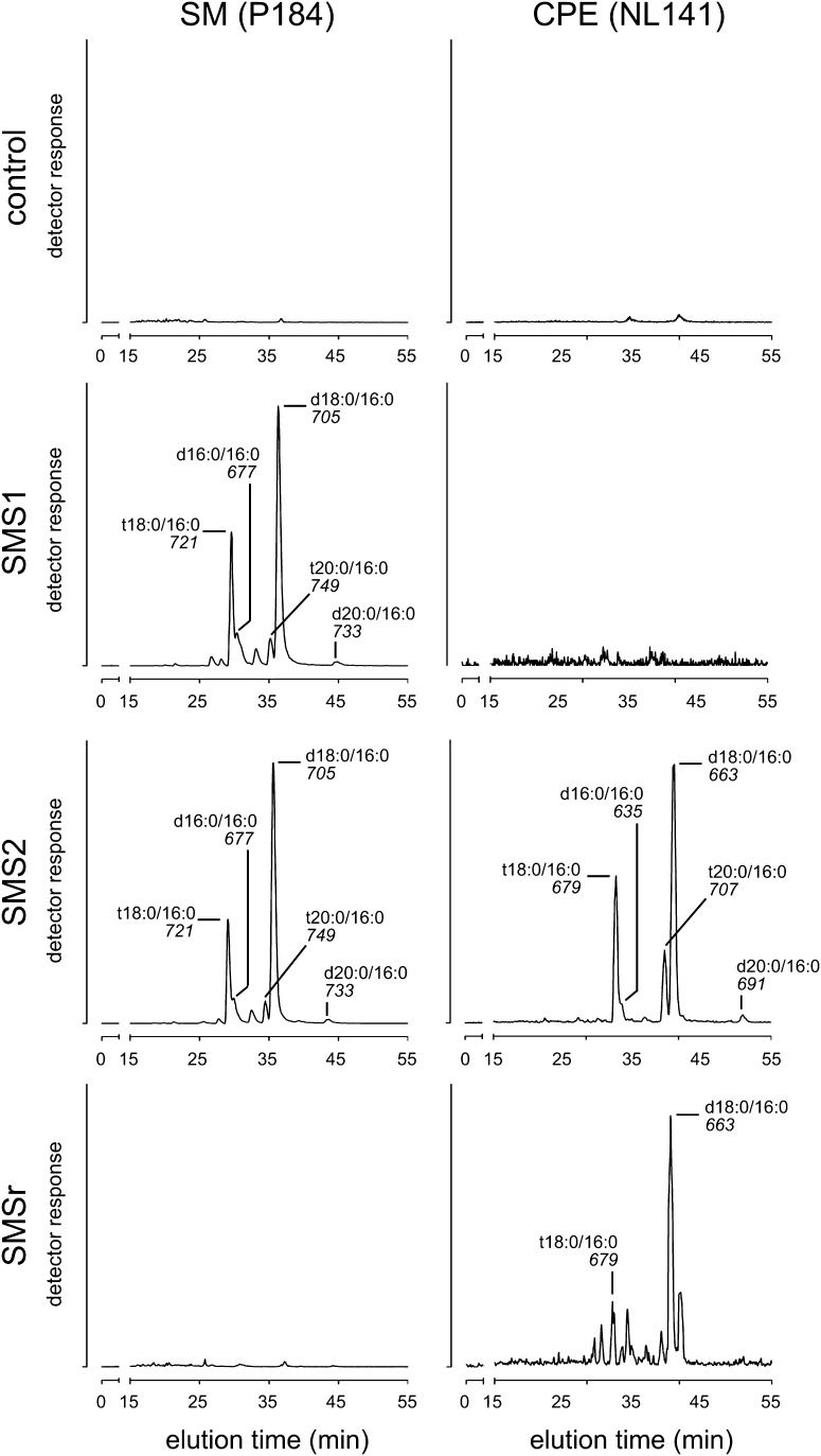 Fig. 3.