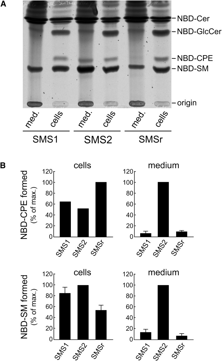 Fig. 4.