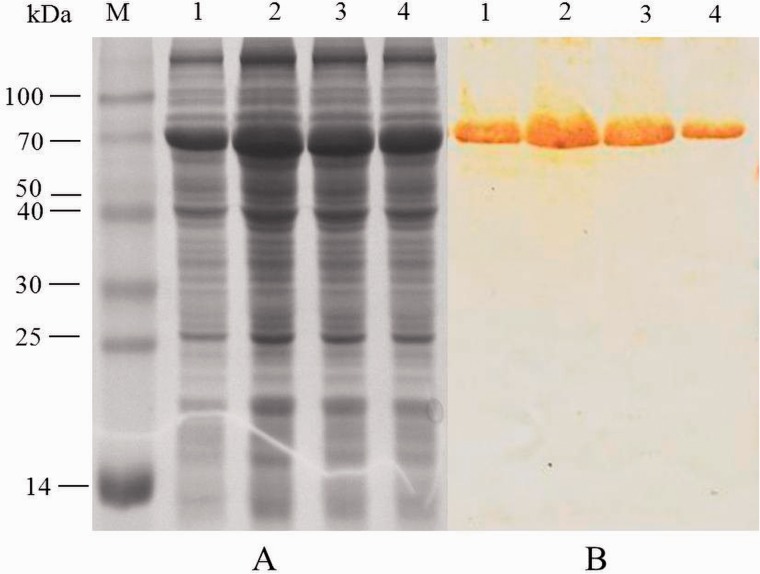 Fig. 5.