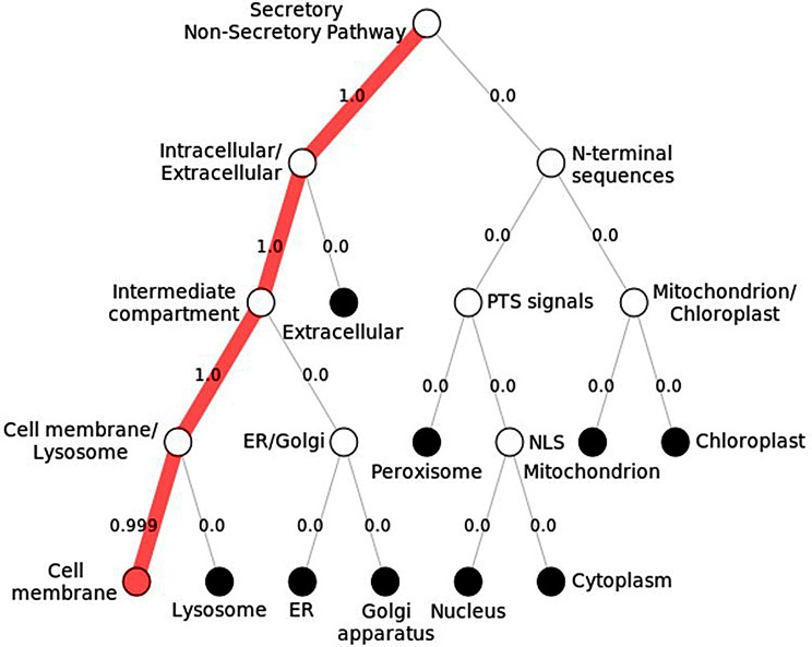 Fig. 8