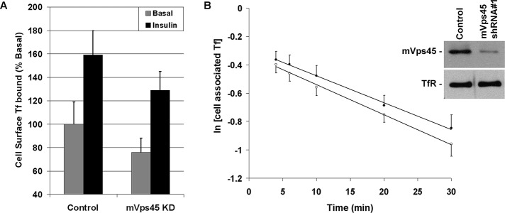 FIGURE 7: