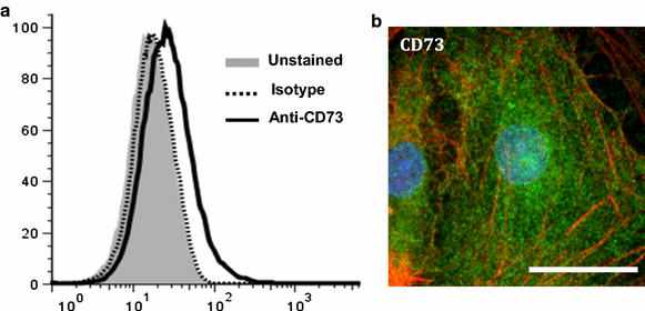 Fig. 4