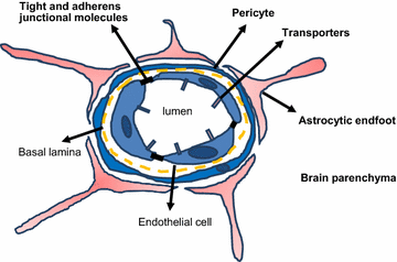 Fig. 1