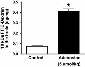 Fig. 6