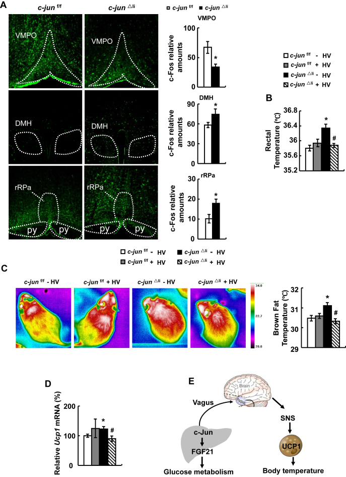 Figure 6