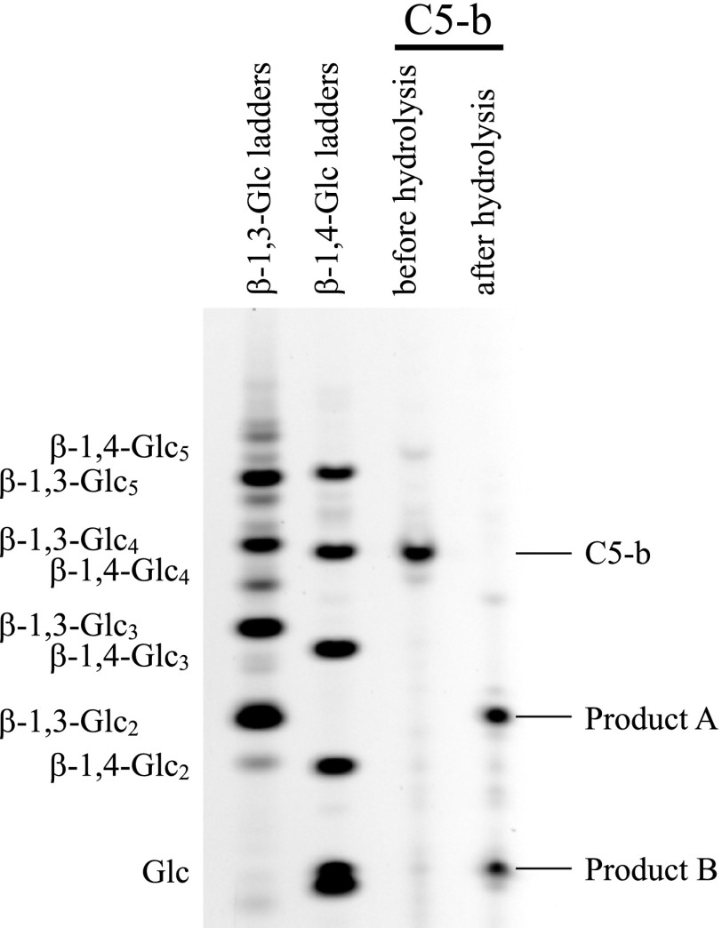 Fig. 5. 