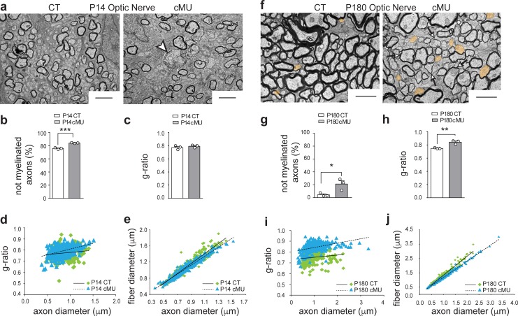 Figure 3—figure supplement 2.