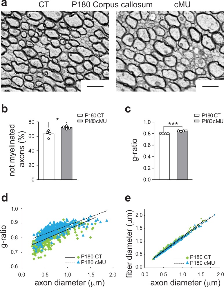 Figure 3—figure supplement 3.