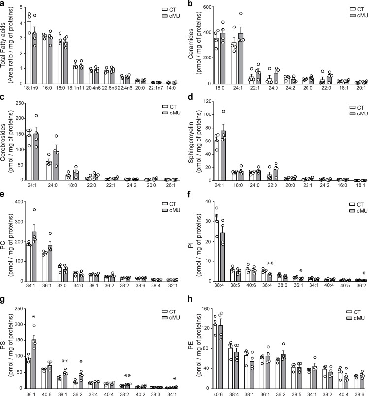 Figure 4—figure supplement 2.