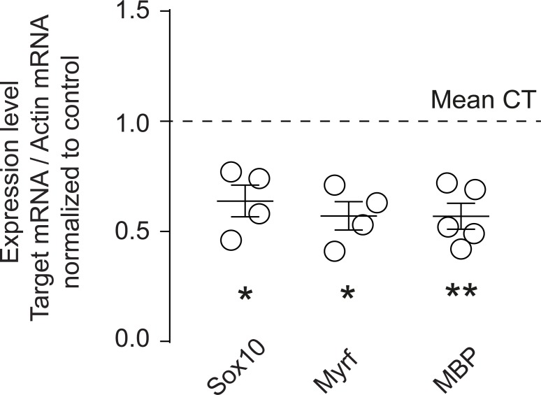 Figure 5—figure supplement 1.