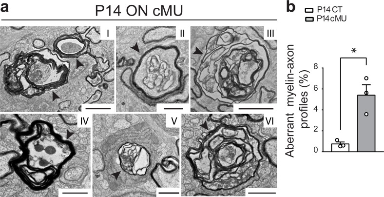 Figure 4—figure supplement 1.