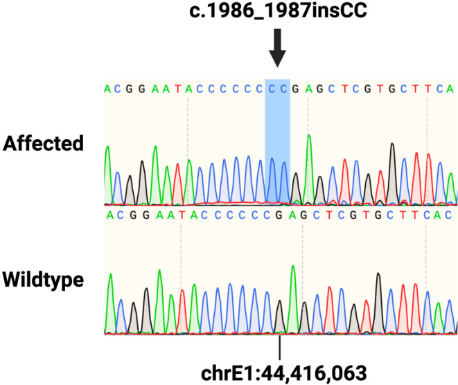 FIGURE 5