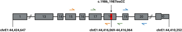 FIGURE 2