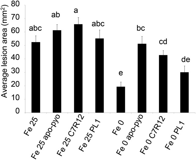 Figure 12.