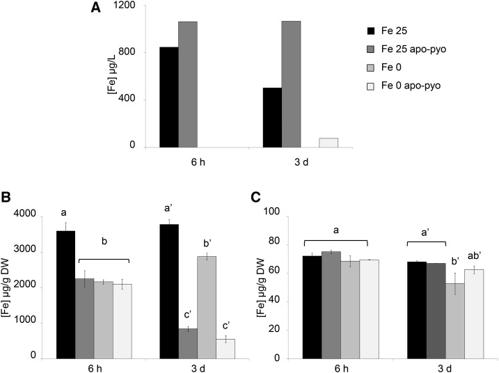 Figure 6.