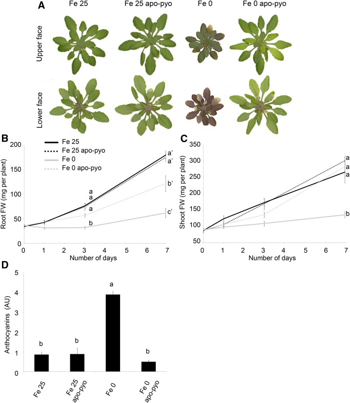 Figure 3.