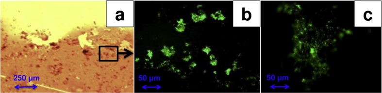 Fig. 7