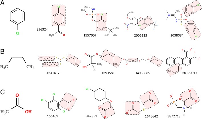 Fig. 10