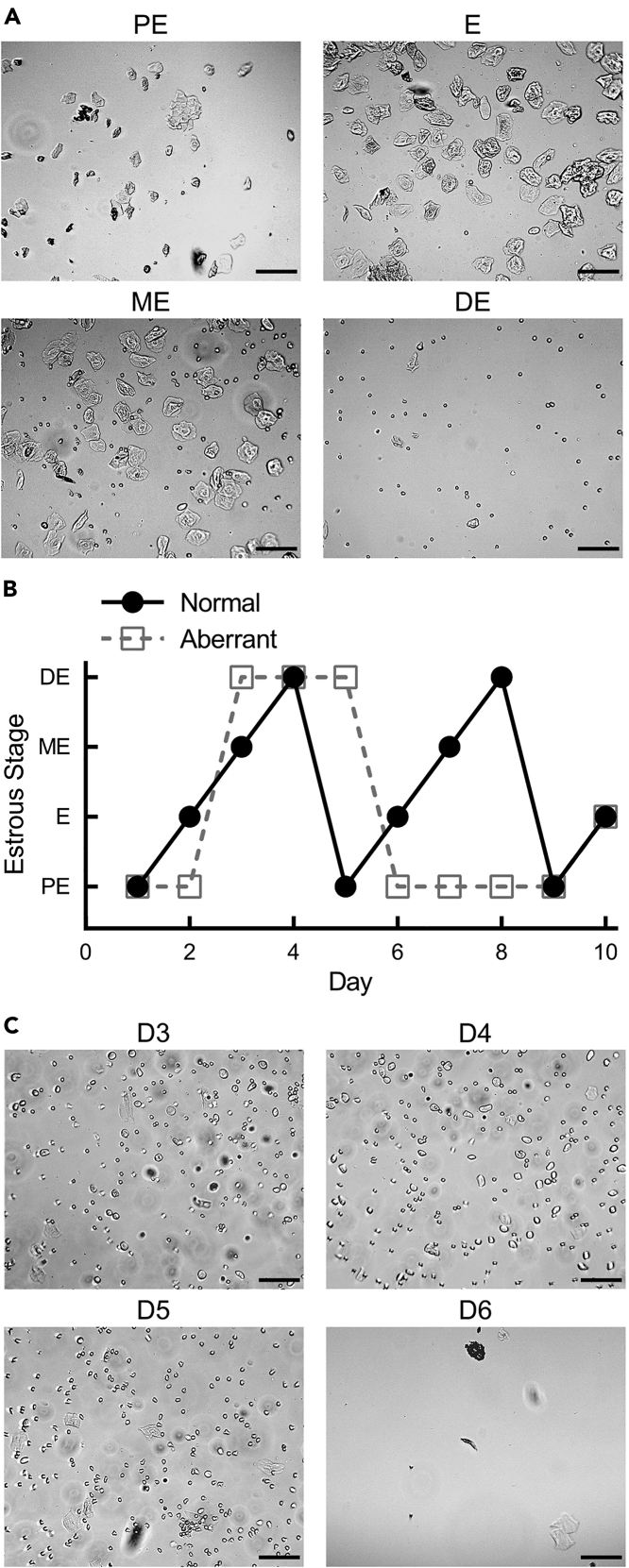 Figure 2