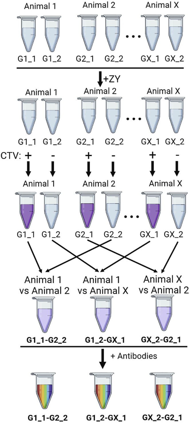 Figure 7