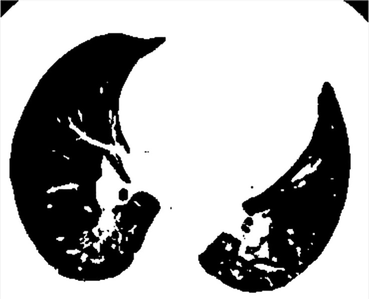 Fig. 5