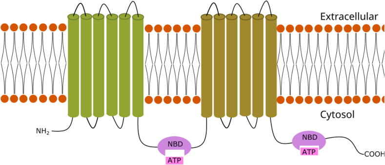 Figure 2