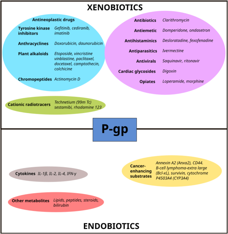 Figure 1