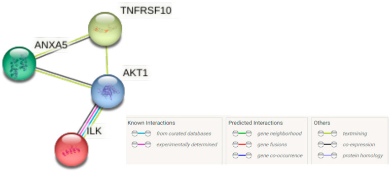 Figure 10