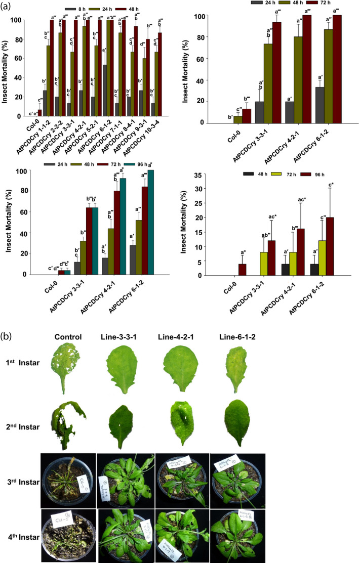 Figure 4