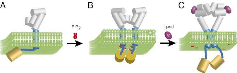 Fig. 5.