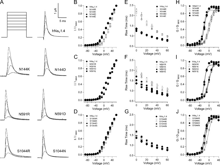 Figure 6.