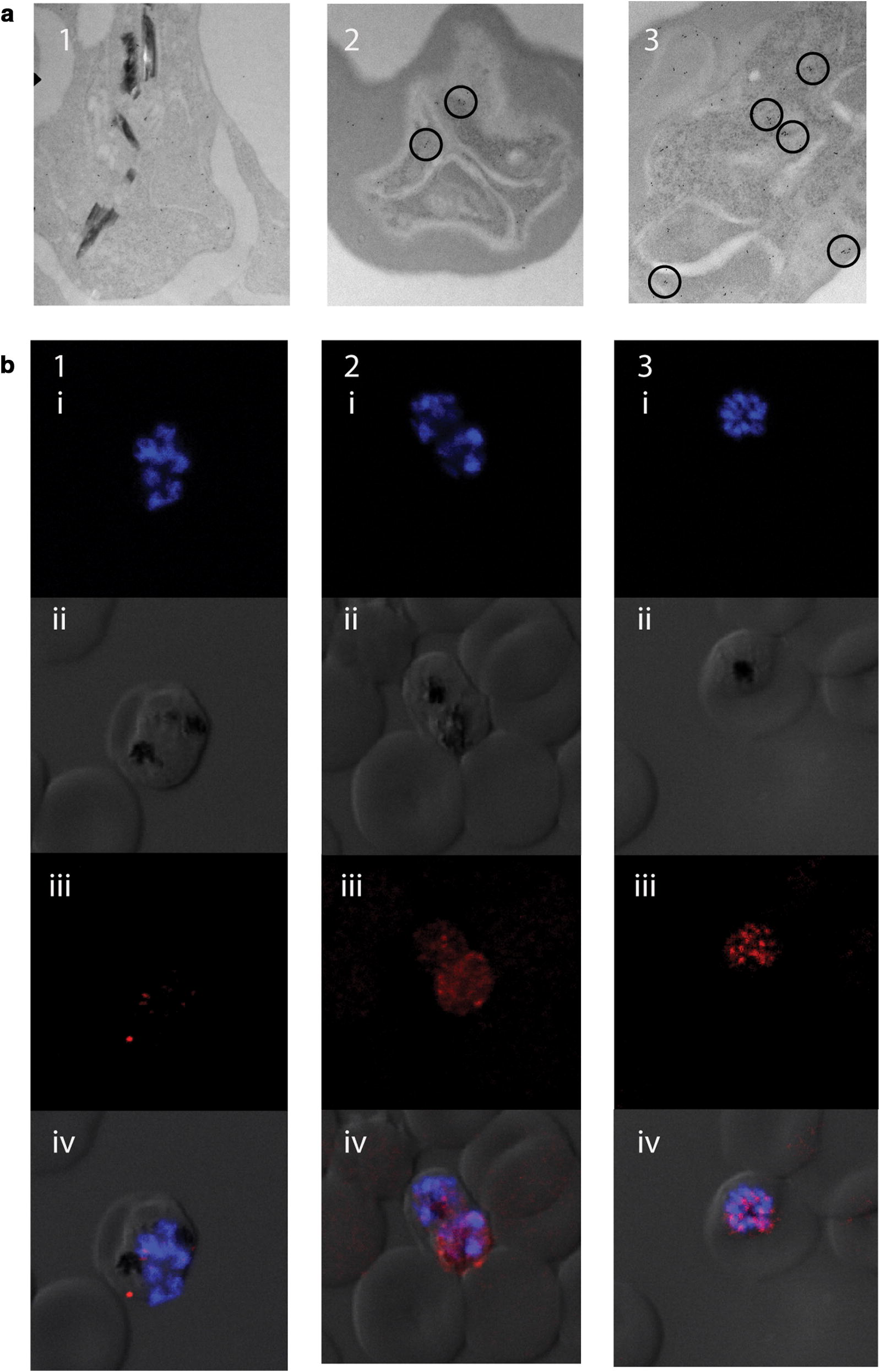 Fig. 2