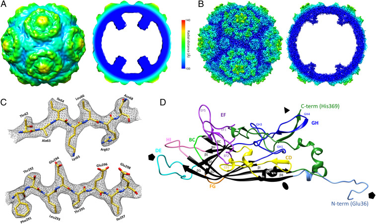 Fig. 2.