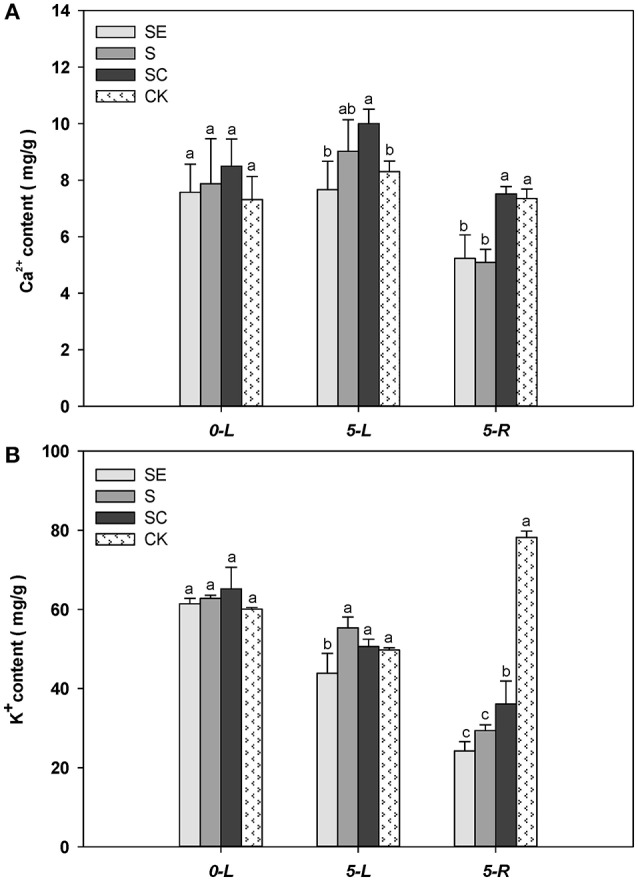 Figure 5