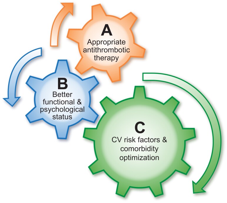 Graphical Abstract