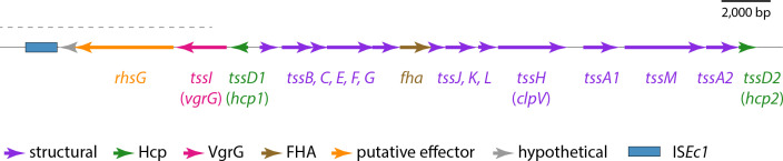 Fig. 3.