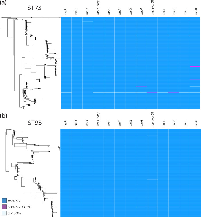 Fig. 7.