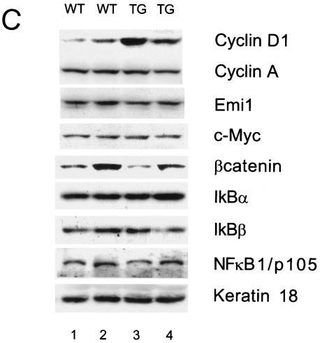 FIG. 5.