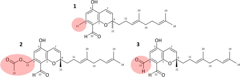 Fig. 2