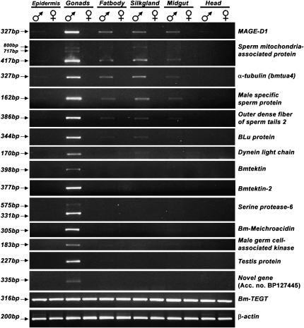 Figure 1.—