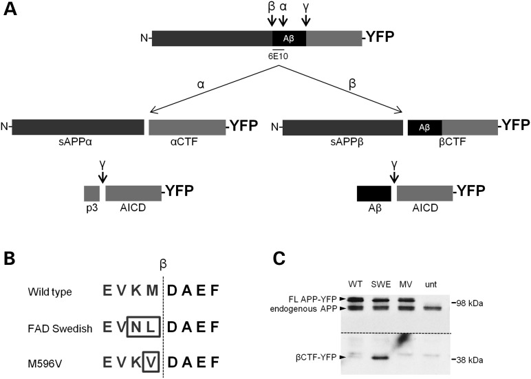 Figure 1.