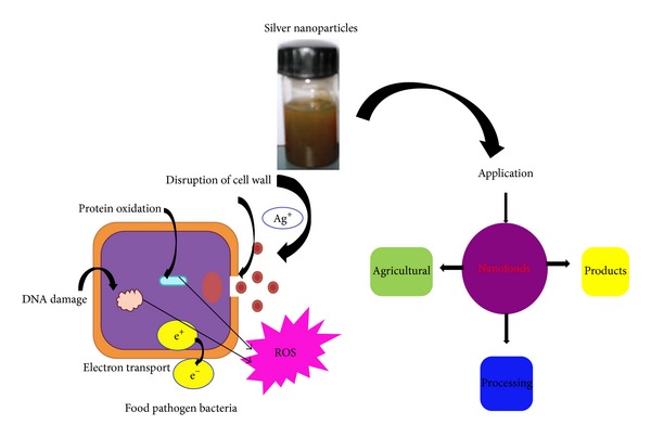 Figure 10