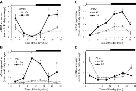 Figure 6.