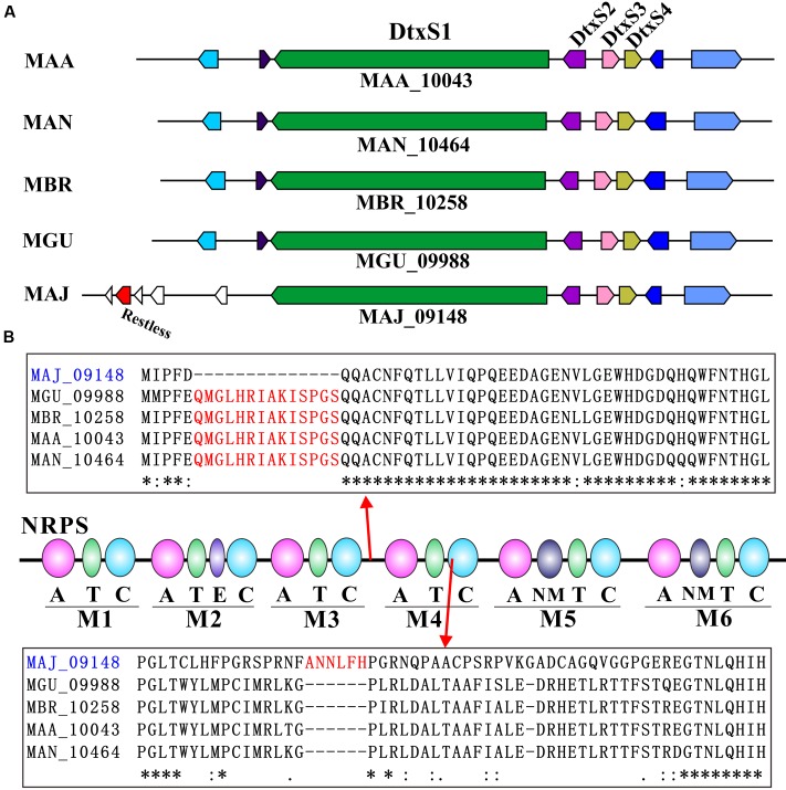 FIGURE 2