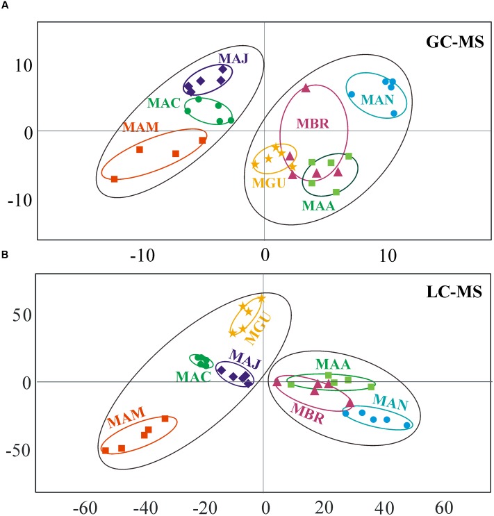 FIGURE 3