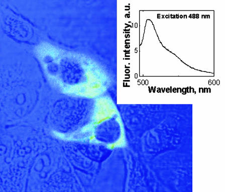 Fig. 8.