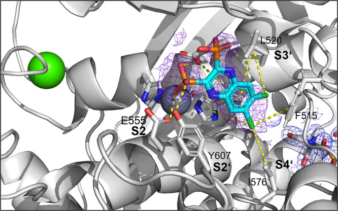 Figure 3