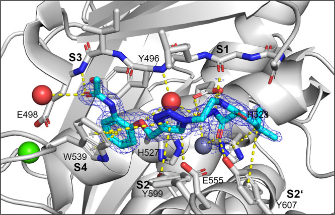 Figure 4